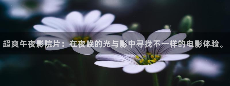 星空电影城影讯宿州