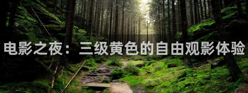 鸣龙少年星辰影院