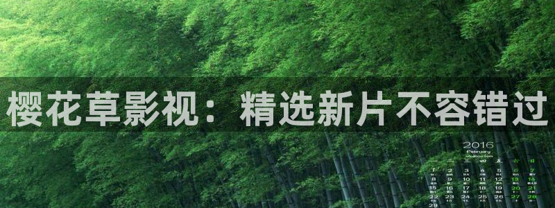 星空传媒在线观看免费高清