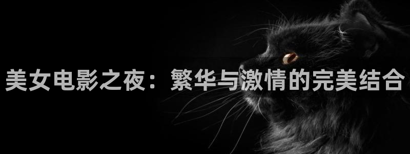星辰影院免费观看电视剧在线观看