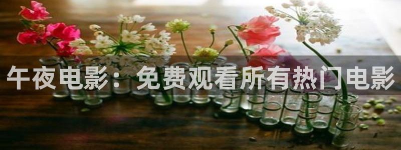星空影视最新版本