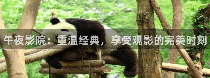 星辰影院大全在线观看免费观看