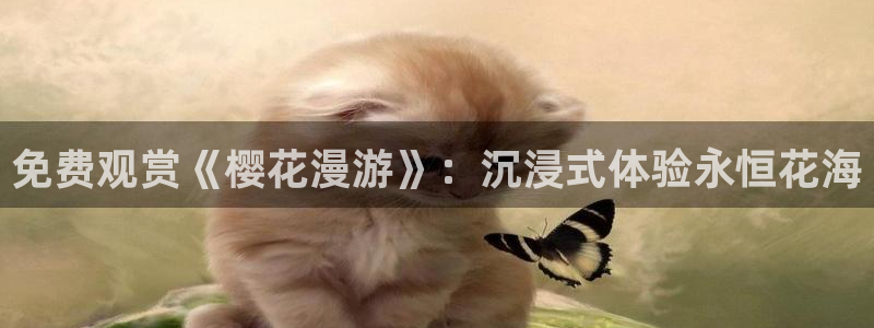 星空影视