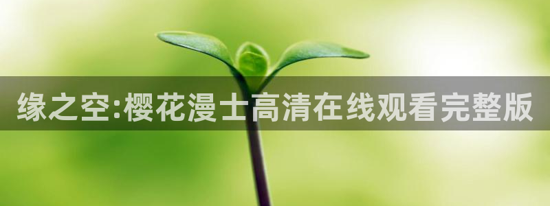 星辰影院在线观看免费观看电影