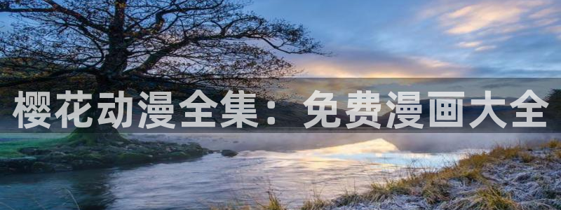 风车动漫动漫星空