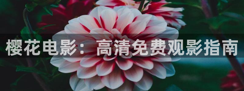 星空电影xkdy