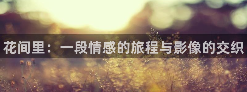 星辰影院影讯