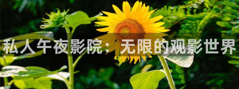 星空无限传媒影视