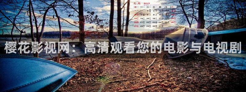 放羊的星星星辰影院