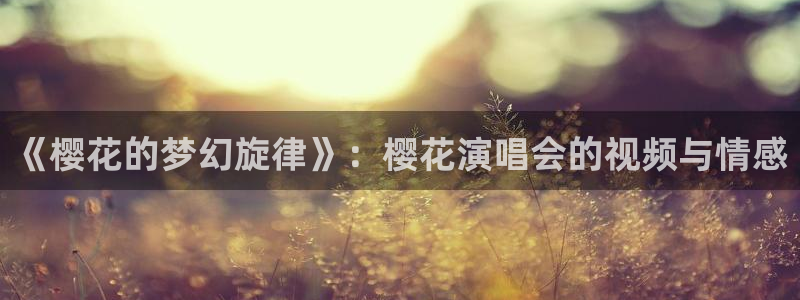 星空影视传媒在线观看