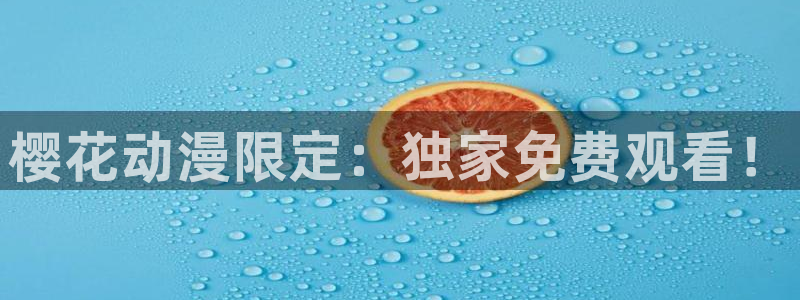 星辰影院在线观看免费版高清