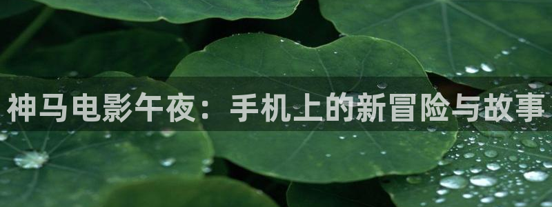 星空视频影院