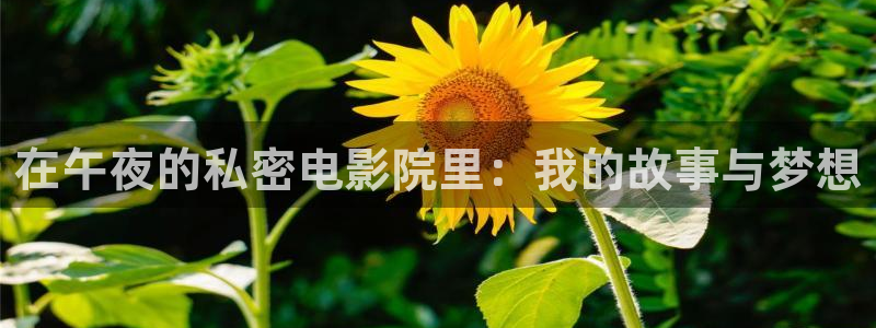 全部星空传媒影院