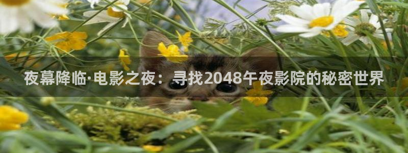 星空无限影视传媒