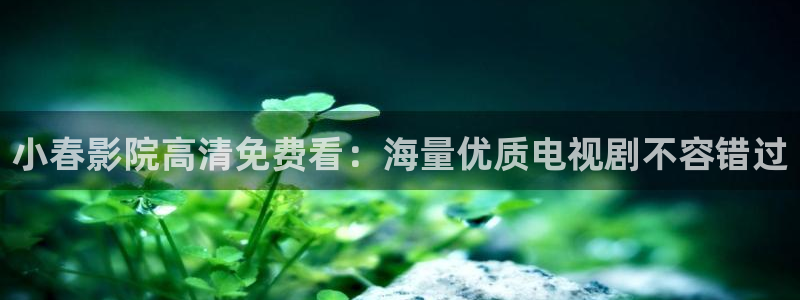 电影 星空