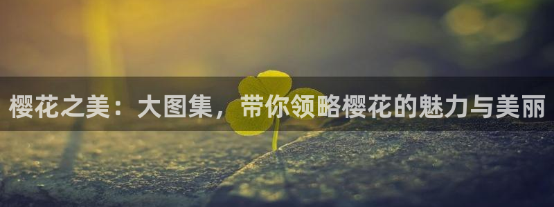 四方馆电视剧星辰影院