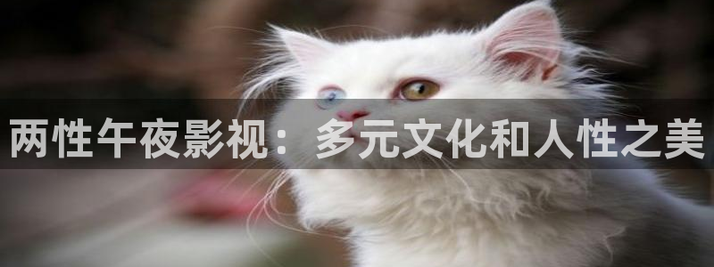 免费电影星空