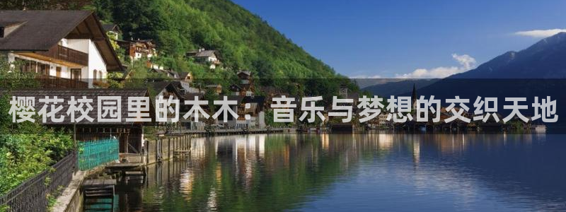 星空盒子影视